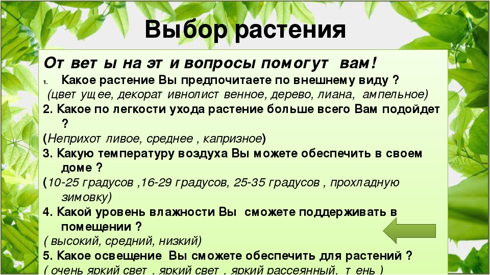 Технология выращивания комнатных растений 5 класс технология презентация