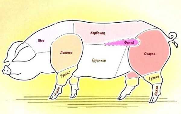 Карбонат свиной какая часть туши свиньи фото