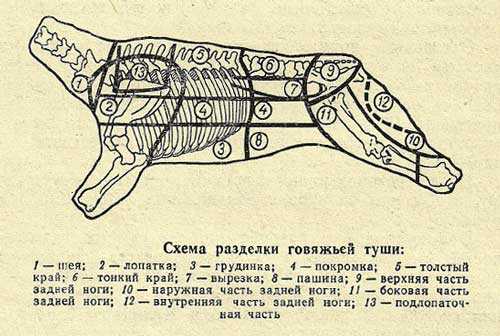 Схема первичной обработки мяса