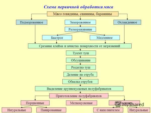 Схема первичной обработки мяса